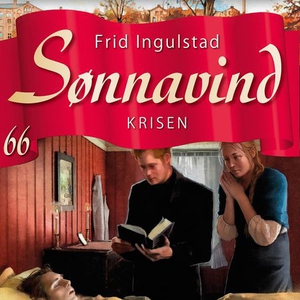 Krisen (lydbok) av Frid Ingulstad