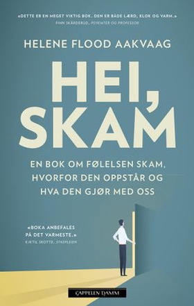 Hei, skam (ebok) av Helene Flood Aakvaag