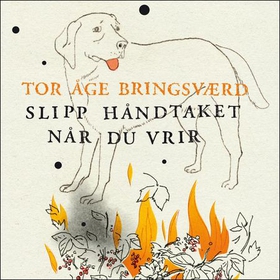Slipp håndtaket når du vrir (lydbok) av Tor Åge Bringsværd