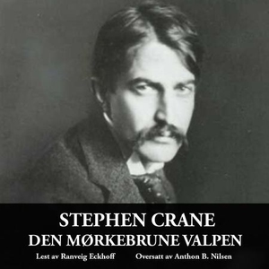 Den mørkebrune valpen (lydbok) av Stephen Cra