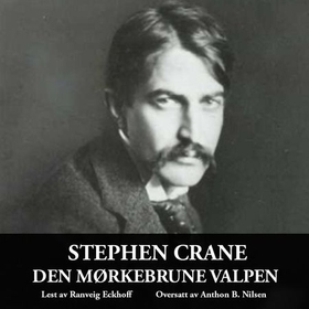 Den mørkebrune valpen (lydbok) av Stephen Crane