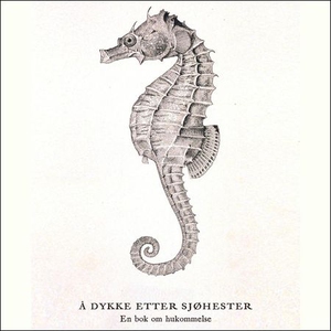 Å dykke etter sjøhester (lydbok) av Hilde Øst