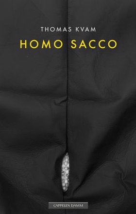 Homo sacco (ebok) av Thomas Kvam
