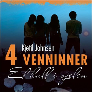 Et hull i sjelen (lydbok) av Kjetil Johnsen