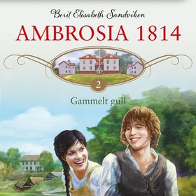 Gammelt gull (lydbok) av Berit Elisabeth Sandviken