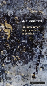 Du bestemmer deg for at dette er et minne (eb