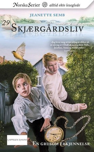 En grusom erkjennelse (ebok) av Jeanette Semb