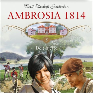 Delt hjerte (lydbok) av Berit Elisabeth Sandv