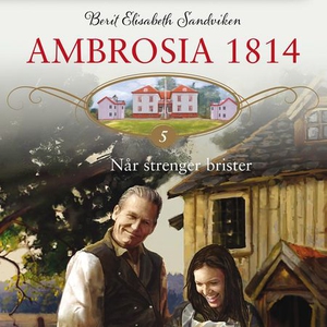 Når strenger brister (lydbok) av Berit Elisab