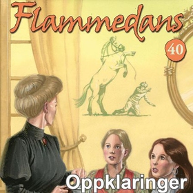 Oppklaringer (lydbok) av Jane Mysen