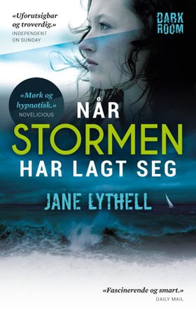 Når stormen har lagt seg (ebok) av Jane Lythell