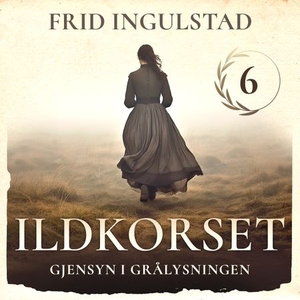 Gjensyn i grålysningen (lydbok) av Frid Ingul