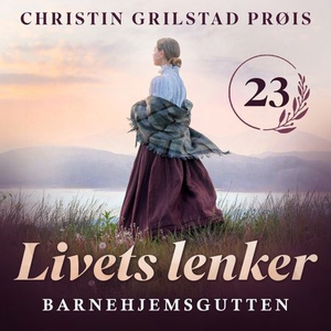 Barnehjemsgutten (lydbok) av Christin Grilsta