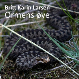 Ormens øye