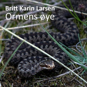 Ormens øye (lydbok) av Britt Karin Larsen