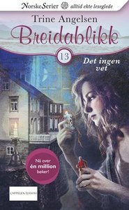 Det ingen vet (ebok) av Trine Angelsen