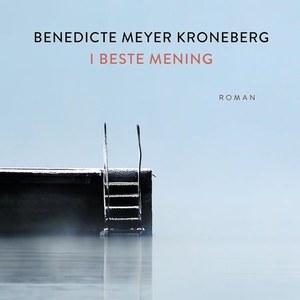 I beste mening (lydbok) av Benedicte Meyer Kr