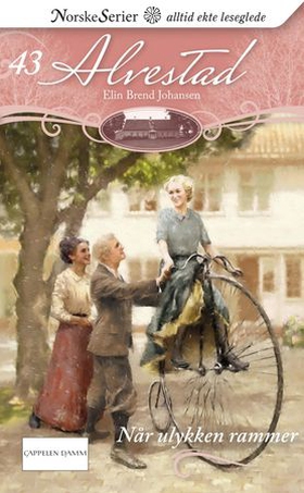 Når ulykken rammer (ebok) av Elin Brend Johansen