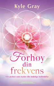 Forhøy din frekvens (ebok) av Kyle Gray