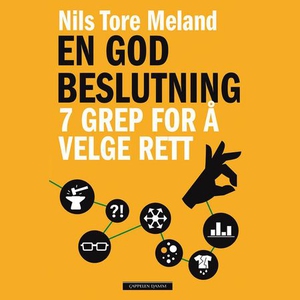 En god beslutning (lydbok) av Nils Tore Melan