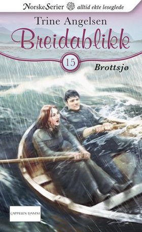 Brottsjø (ebok) av Trine Angelsen