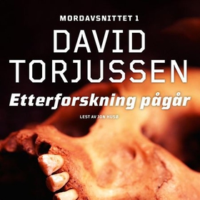 Etterforskning pågår (lydbok) av David Torjussen