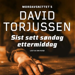 Sist sett søndag ettermiddag (lydbok) av Davi