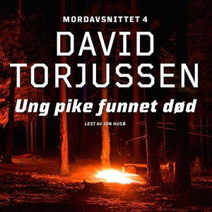 Ung pike funnet død (lydbok) av David Torjuss