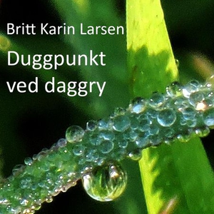 Duggpunkt ved daggry (lydbok) av Britt Karin