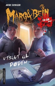 Utsikt til døden (ebok) av Arne Svingen