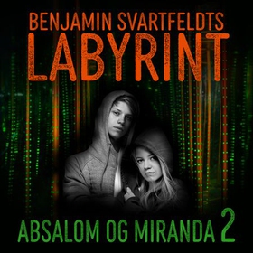 Benjamin Svartfeldts labyrint (lydbok) av Tore Aurstad