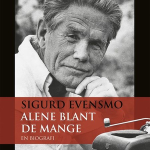 Sigurd Evensmo (lydbok) av Stian Bromark, Hal