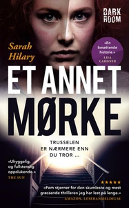 Et annet mørke (ebok) av Sarah Hilary