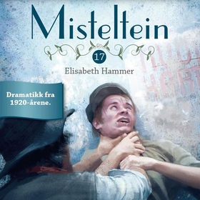 Skjebnetime (lydbok) av Elisabeth Hammer