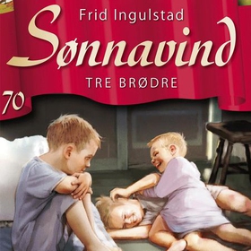 Tre brødre (lydbok) av Frid Ingulstad