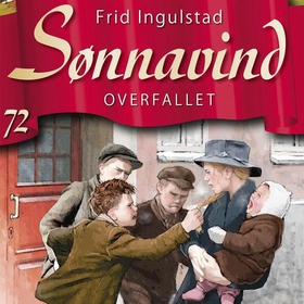 Overfallet (lydbok) av Frid Ingulstad