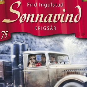 Krigsår (lydbok) av Frid Ingulstad