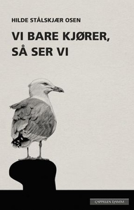 Vi bare kjører, så ser vi (ebok) av Hilde Stå
