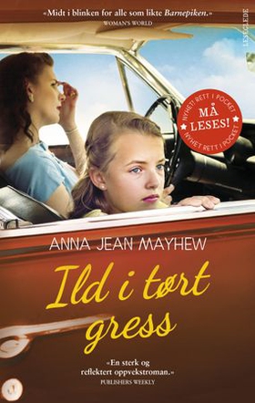 Ild i tørt gress (ebok) av Anna Jean Mayhew