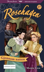 Gjennom natten (ebok) av Merete Lien