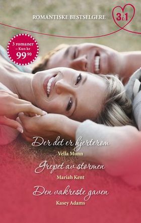 Der det er hjerterom ; Grepet av stormen ; Den vakreste gaven (ebok) av Kasey Adams