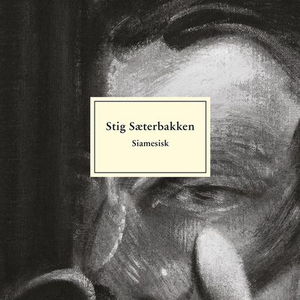 Siamesisk (lydbok) av Stig Sæterbakken