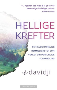 Hellige krefter (ebok) av Davidji