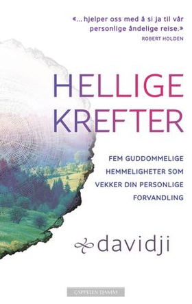 Hellige krefter (ebok) av Davidji