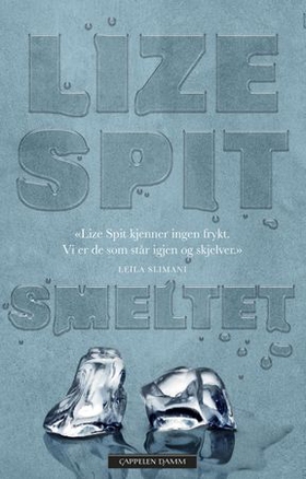 Smeltet (ebok) av Lize Spit