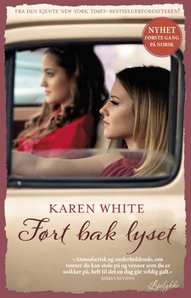 Ført bak lyset (ebok) av Karen White