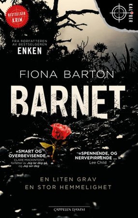 Barnet (ebok) av Fiona Barton