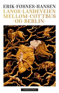 Langs landeveien mellom Cottbus og Berlin (eb