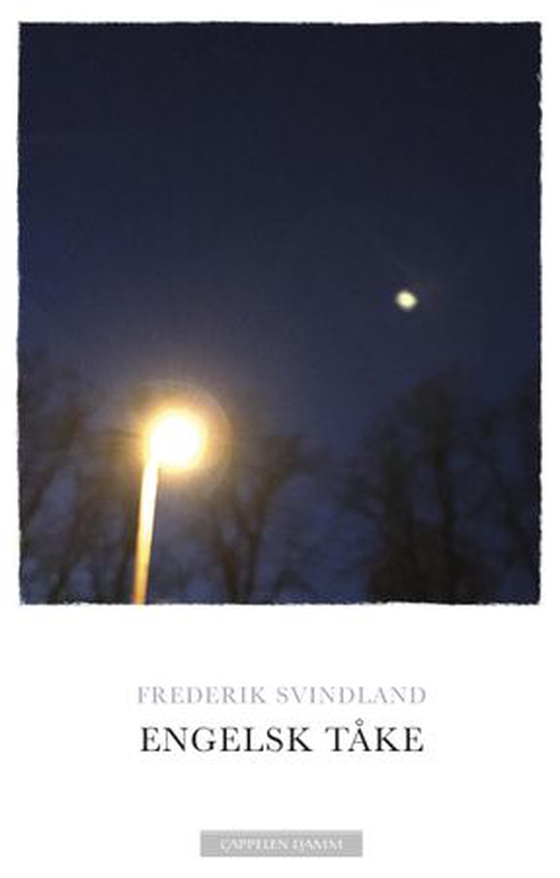 Engelsk tåke - roman (ebok) av Frederik Svindland