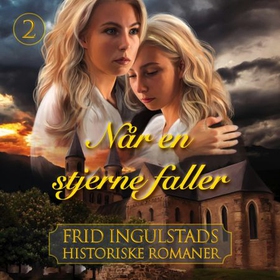 Når en stjerne faller (lydbok) av Frid Ingulstad